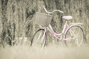 Fototapeta premium Bicycle standing beneath willows tree