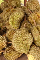 Group of durian in the market.