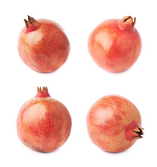 Pomegranate punica granatum fruit