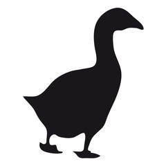 Silhouette goose