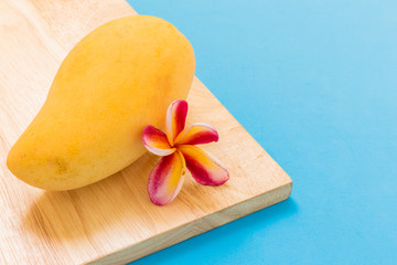 Mango / Thai Mango Background