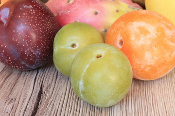 Prunes et Autre Fruits 