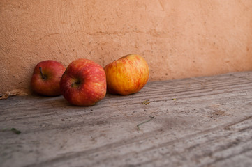 pommes bio  sur un banc dans le jardin