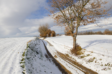 Obraz premium Winter Landscape