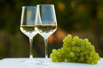 Fototapeta premium Two glasses of white wine