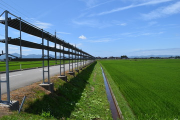農道と田園風景／山形県の庄内地方で、農道と田園風景を撮影した写真です。