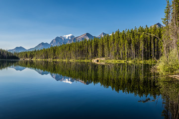 Snow capped peaks reflect on Herbert Lake in Banff National Park