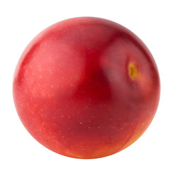 red cherry plum isolated on the white background