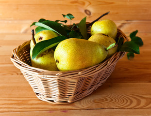  pears in backet