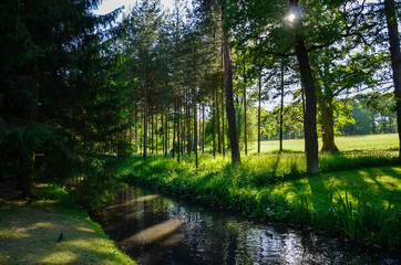 Летний парк Пушкин - Summer Park Pushkin © kutskaaaaa