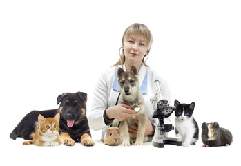 veterinarian and Pets