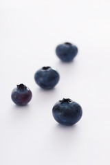 Blueberries  closeup on white background