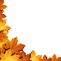Autumn leaves background with space for text