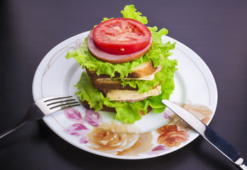 sandwich with tomato cheese and ham
