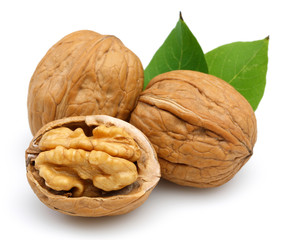 walnut group