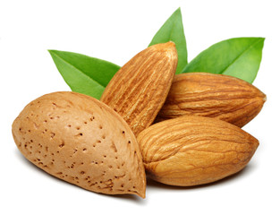 Almond group