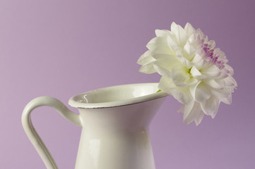 einzelne dahlie in einer vase