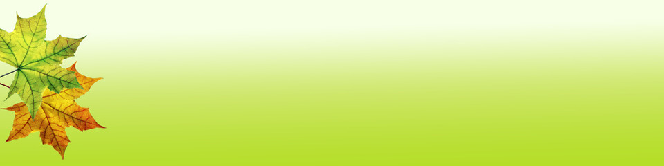 Falling autumn leaves