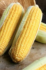 fresh corn