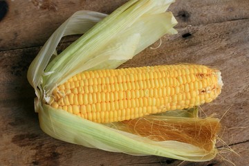 fresh corn