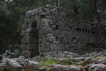Photo sur Plexiglas Rudnes Phaselis ruins in Turkey