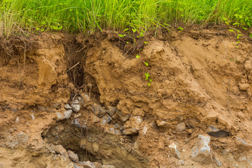 Cliffs, rocky soil erosion grass