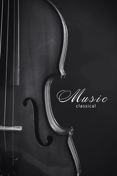 Classical violin. Black and white photo