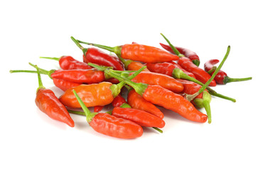 Hot red chili or chilli pepper isolated on white background