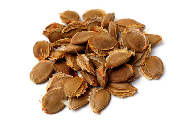 Apricot kernels