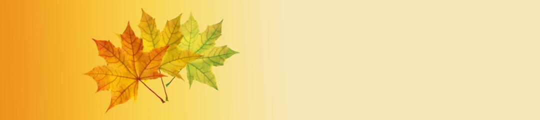 Falling autumn leaves