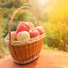 apples in a basket on wooden table against garden background at sunny day