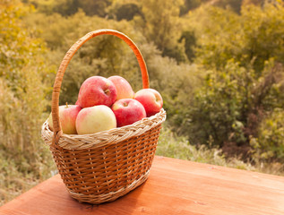 apples in a basket on wooden table against garden background at sunny day