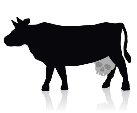 Cow with a skull instead of an udder - a symbol for unhealthy milk and dairy products. Isolated vector illustration on white background.