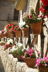 Fototapeta na wymiar Flower pots on the street