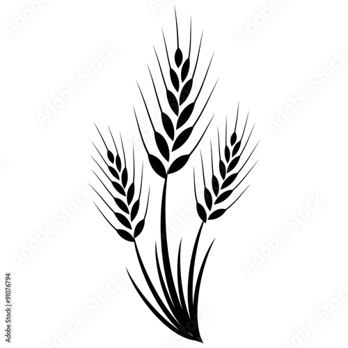 "Wheat grass green icon juice black. Logo, banner, frame for" Stock ...