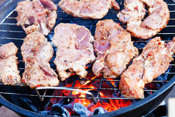 Pieces of meat roasting on the grill