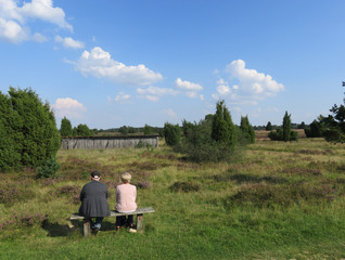 Blick in die Lüneburger Heide