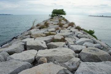 Pathway to the sea