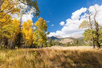 Colorado Mountain landscape in Fall