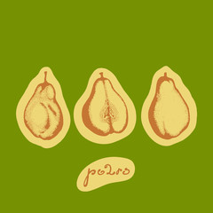 Set hand drawn pears.