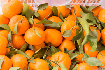 oranges at market