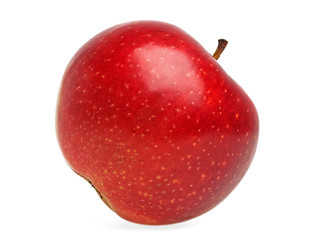 Red apple on a white background