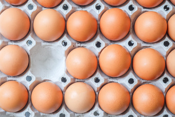 Eggs, one empty space