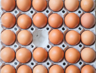 Eggs, one empty space