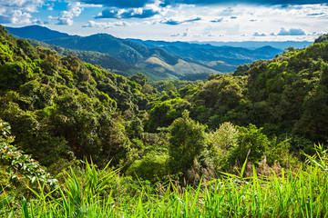 Obraz premium Nothern Thailand landscape