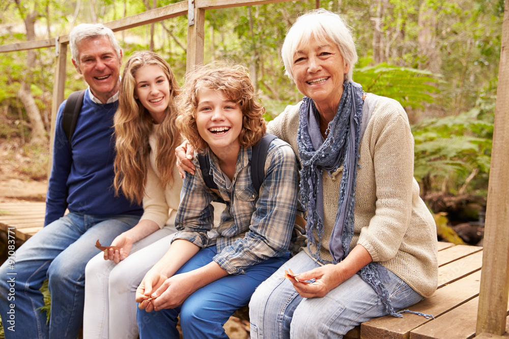 Wall mural grandparents and teens sitting on a bridge in a forest