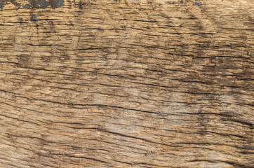 Fototapeta premium background - close up of the old weathered wood