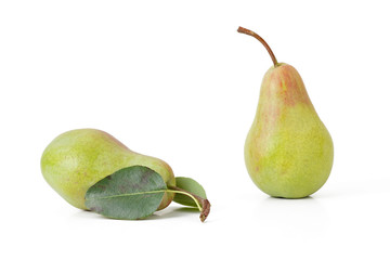 pair green pears with leaf on a white background isolated