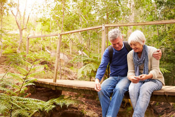 Naklejka na ściany i meble Happy senior couple sitting on bridge in forest, horizontal