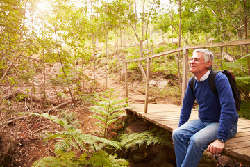 Fototapeta premium Senior man sitting on a bridge in a forest, looking away